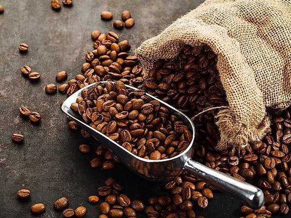 Mơ thấy cà phê đánh con gì? Giải mã con số may mắn Mơ thấy cà phê đánh con gì? Giải mã con số may mắn