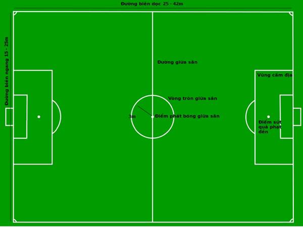 Kích thước sân cỏ nhân tạo 7 người là bao nhiêu?